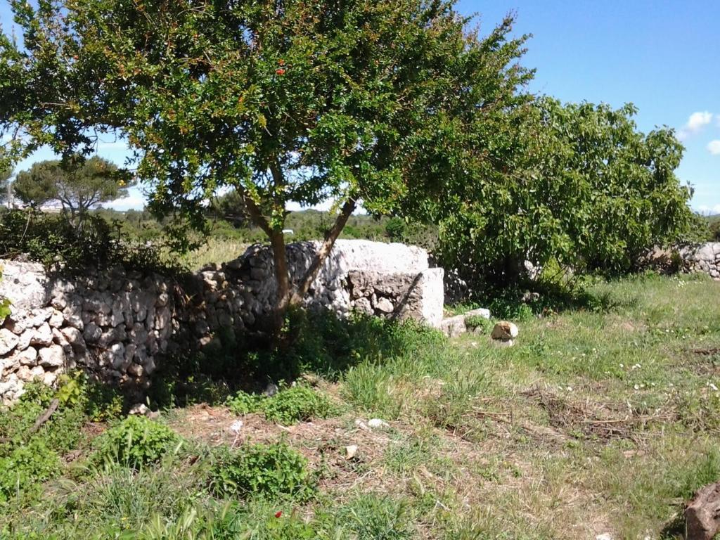 Maison d'hôtes Es Barranco à Ferreries Extérieur photo